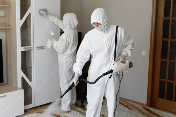 Best Local Mold Removal Service  in Petersburg, VA